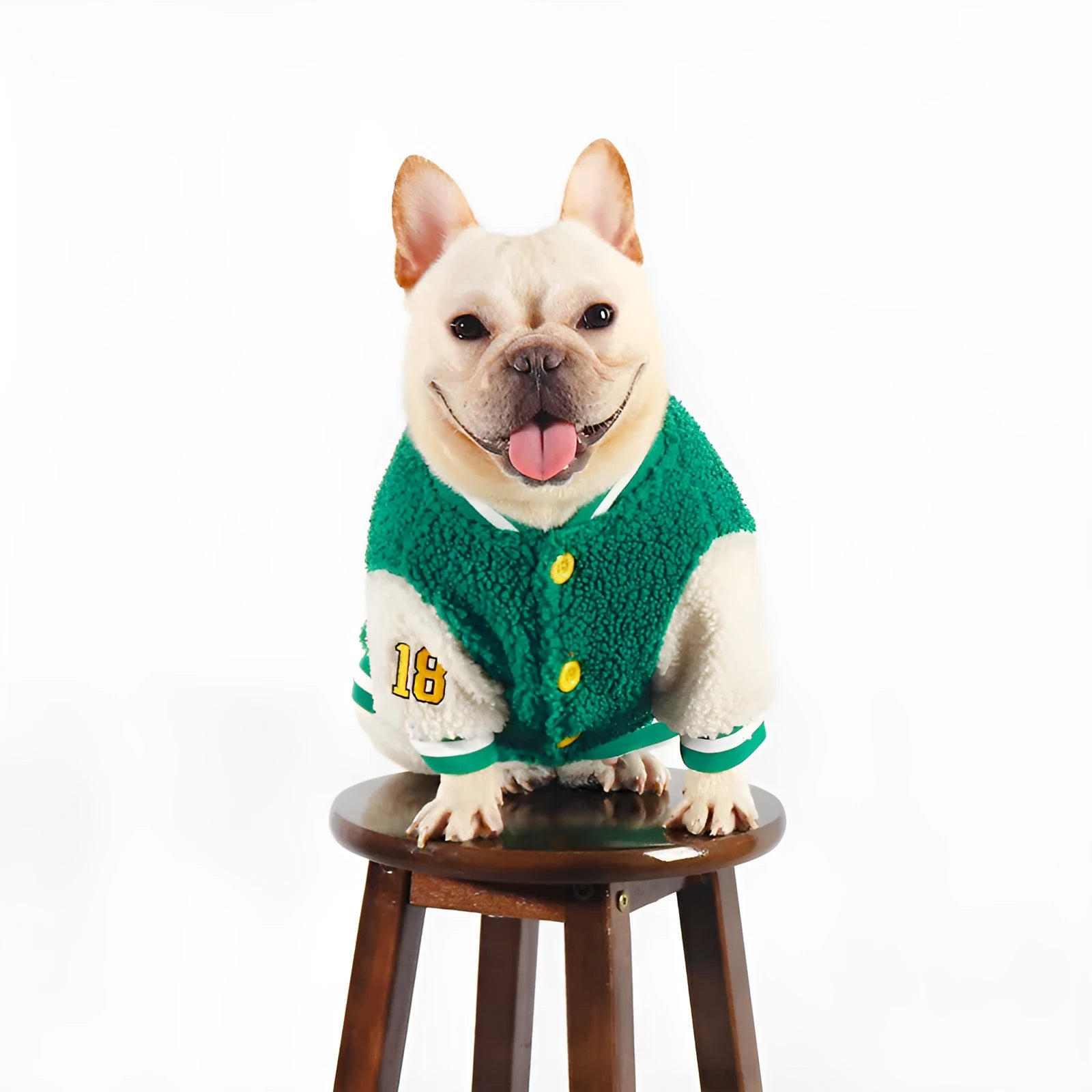 Green fleece-lined cotton dog winter clothing shown in larger size for cold weather walks