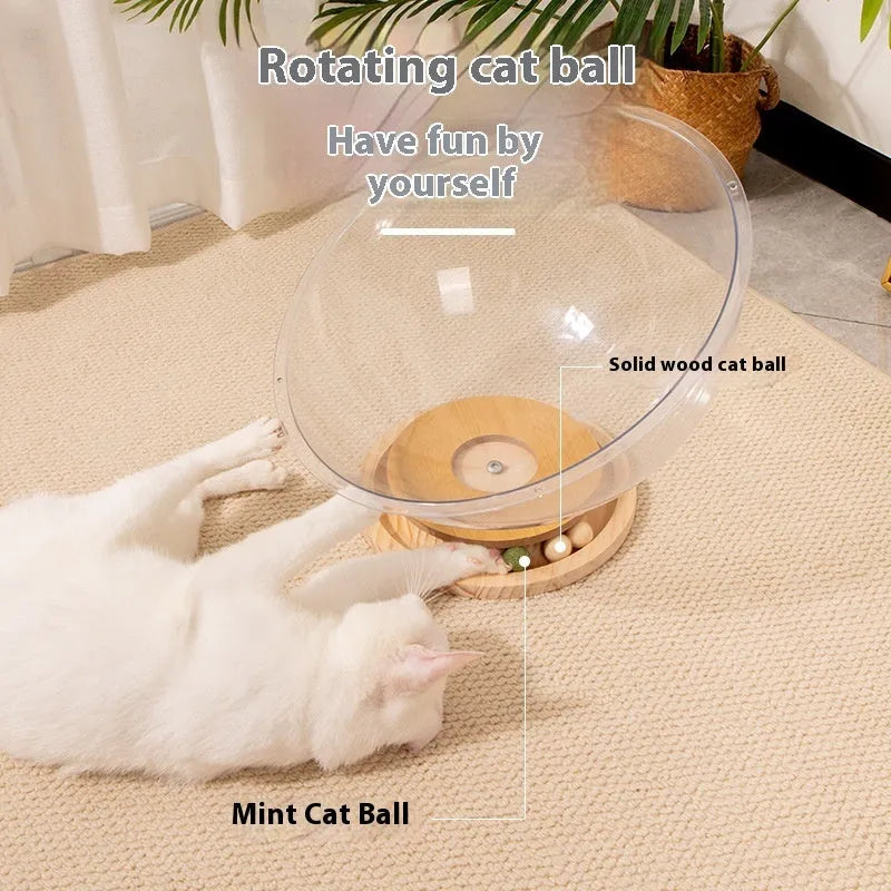 Transparent acrylic cat space capsule bathtub showing capsule design