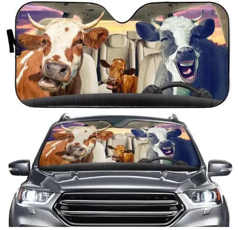 Aluminium foil telescopic car sun visor shown extended on a car windscreen.