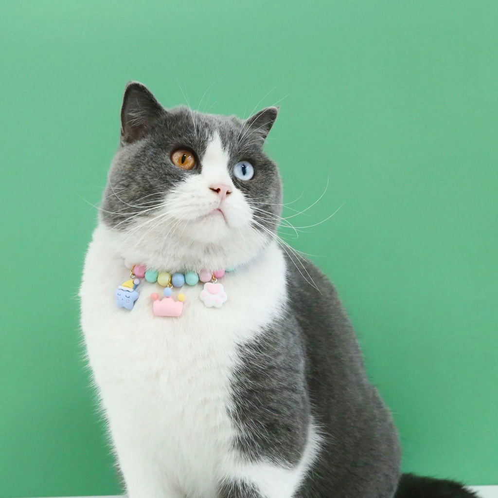 Macaron-themed pet collar accessories in resin with adjustable sizing options
