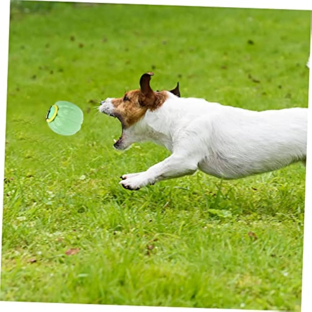 Green, orange and yellow plastic pumpkin squeaky dog ball toy for small dogs