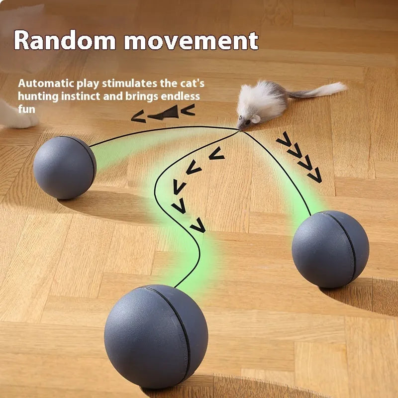 Automatic cat teasing ball with plush mouse attachment in blue orange and dark grey colour options