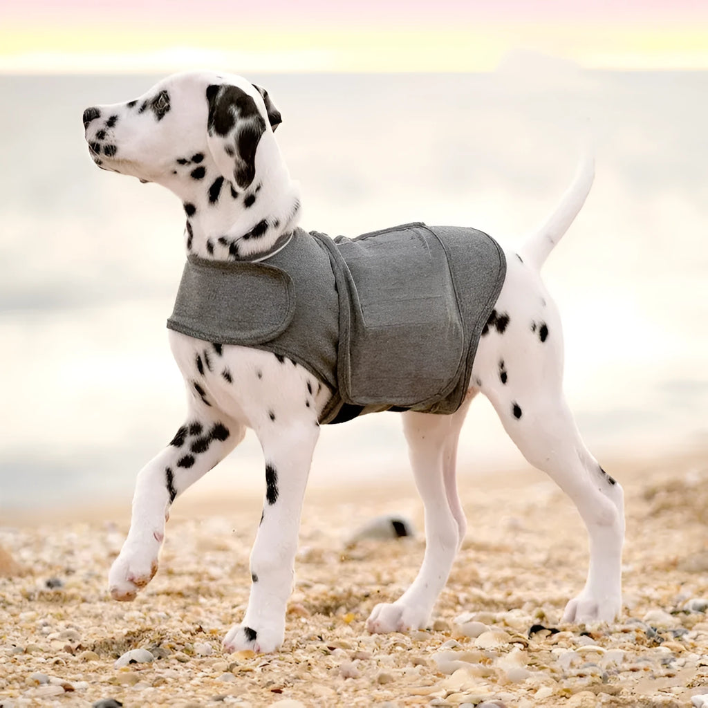 Heather grey dog anxiety vest or warm jacket for small, medium and large breed dogs.