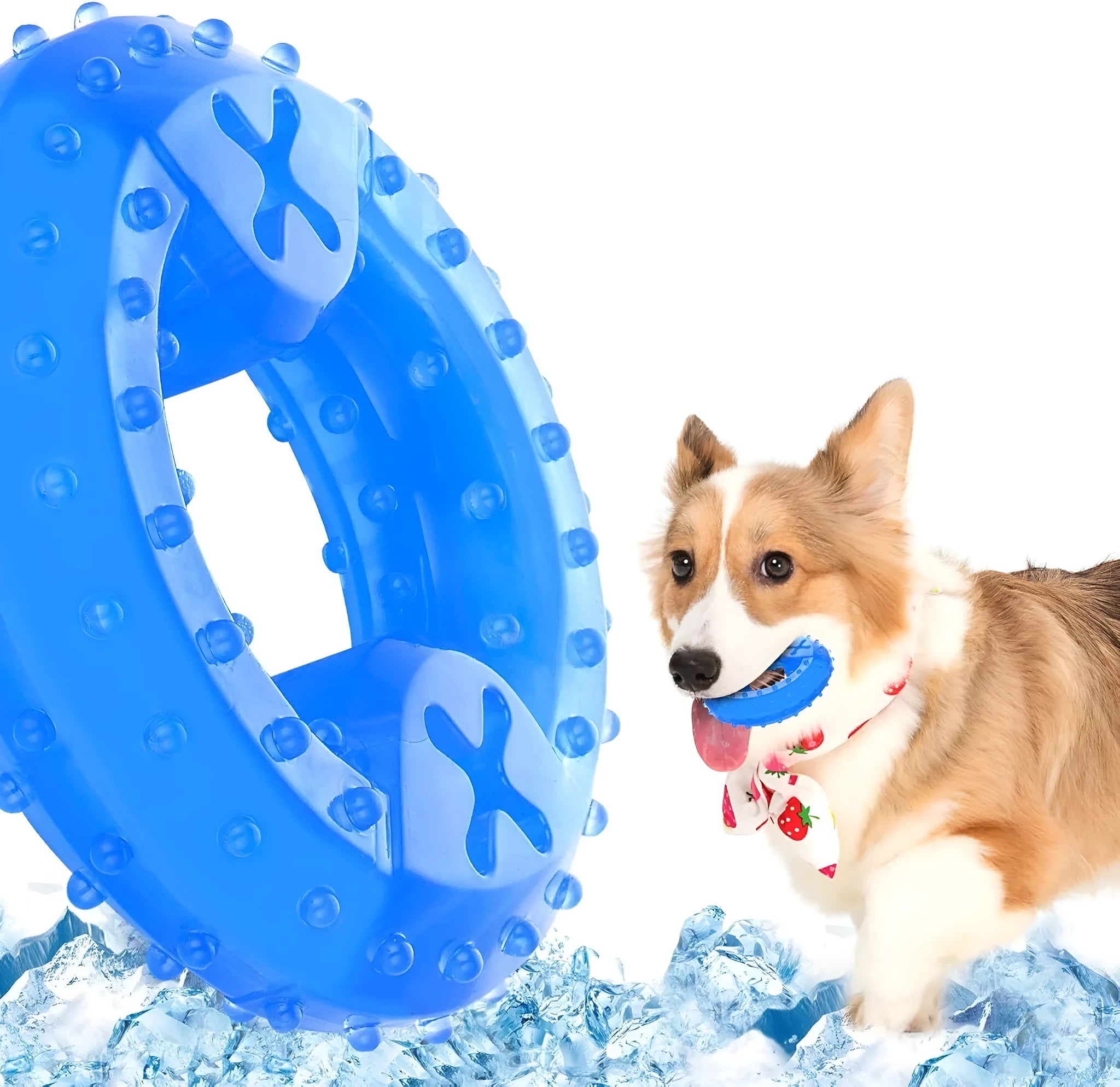 Freezable dog teething chew toy with non-toxic materials and purified water cooling