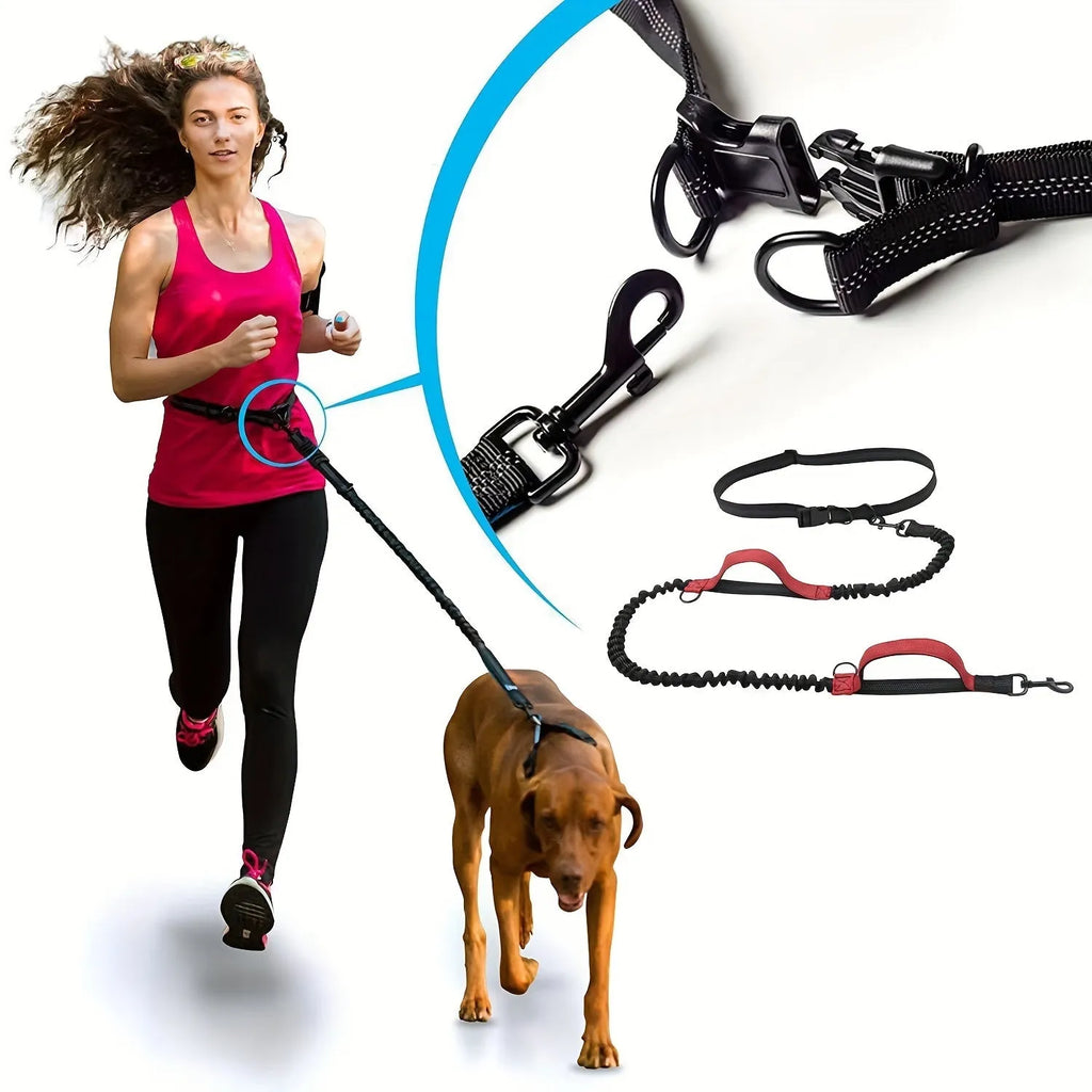 Hands-free dog leash with adjustable waist belt in durable nylon, available in five colours for running and walking