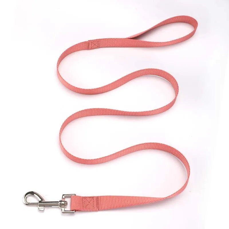 Solid colour nylon dog walking leash in blue held in a hand, showing the single rope design and hand loop.