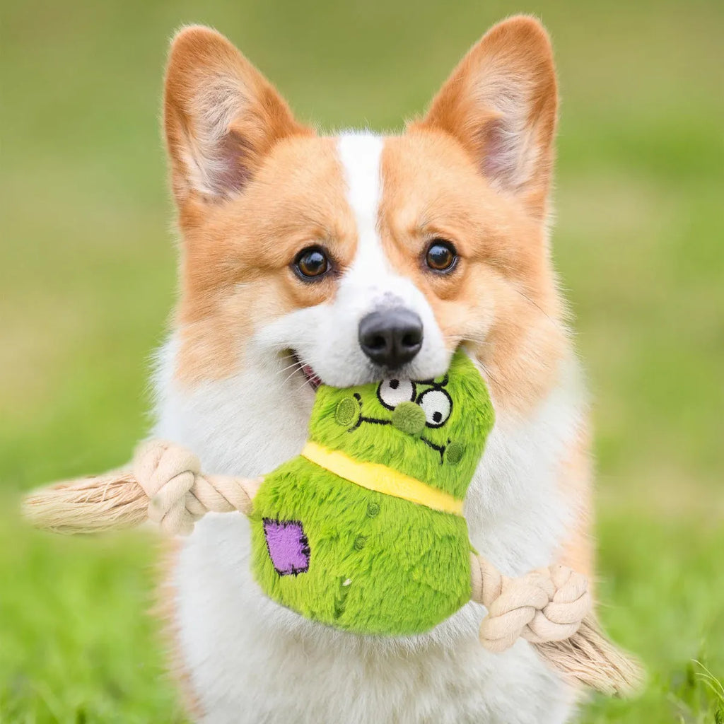 Green and purple interactive dog toy with plush fabric and rope knot construction for tug-of-war games