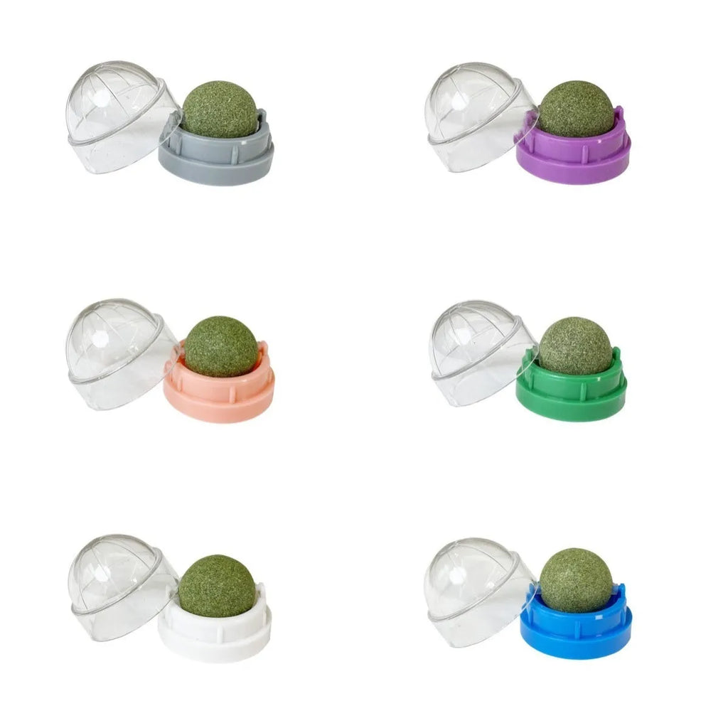 Plastic catnip ball cat toy for teeth cleaning in assorted colours including pink, blue, green.