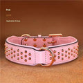 Brown leather dog collar with metal rivet studs, shown on a black background.