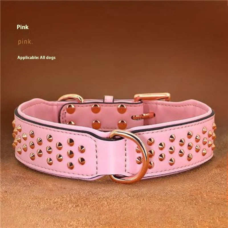 Brown leather dog collar with metal rivet studs, shown on a black background.
