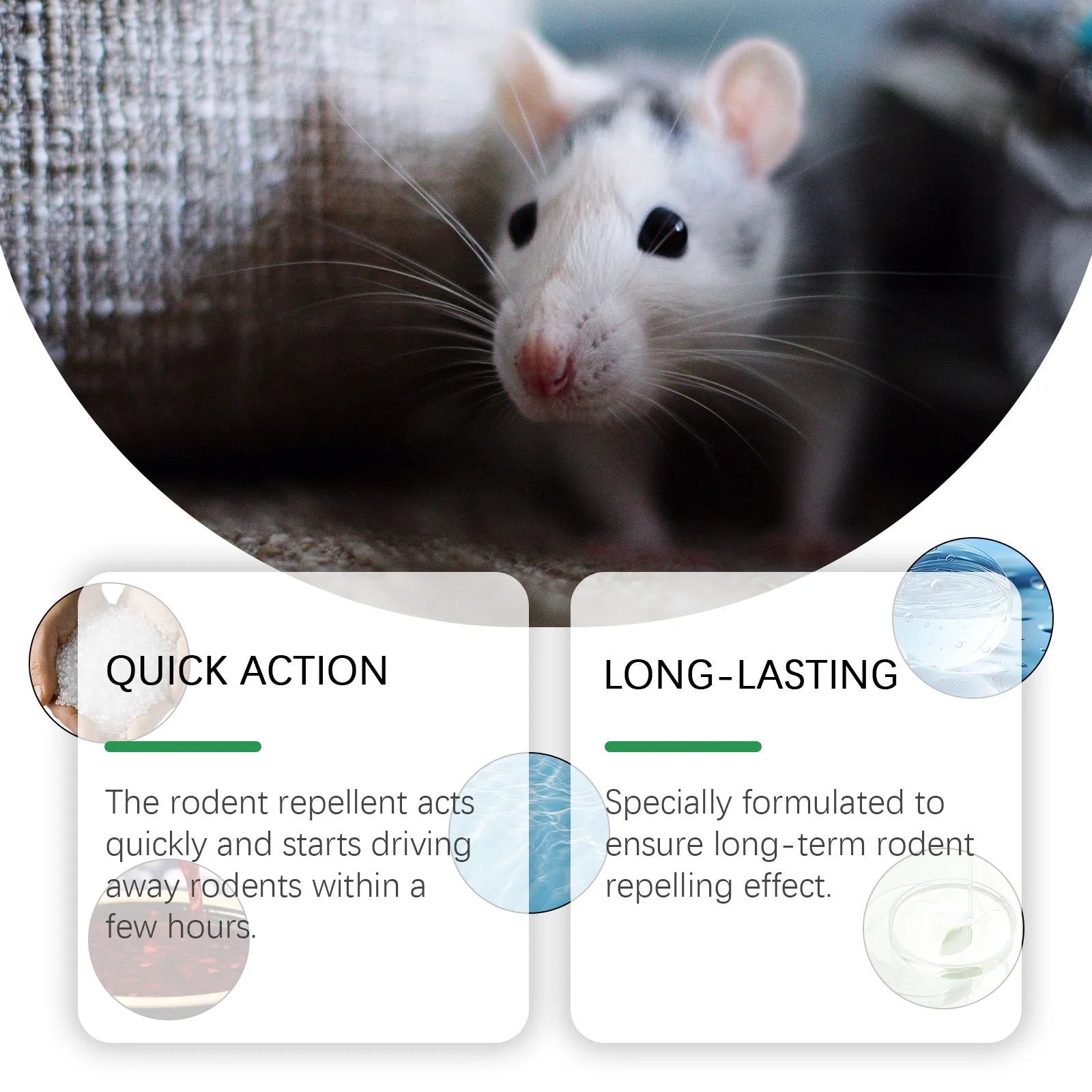 Mint-flavoured rodent repellent spray 150ml bottle with peppermint oil and chili essential oil for outdoor use