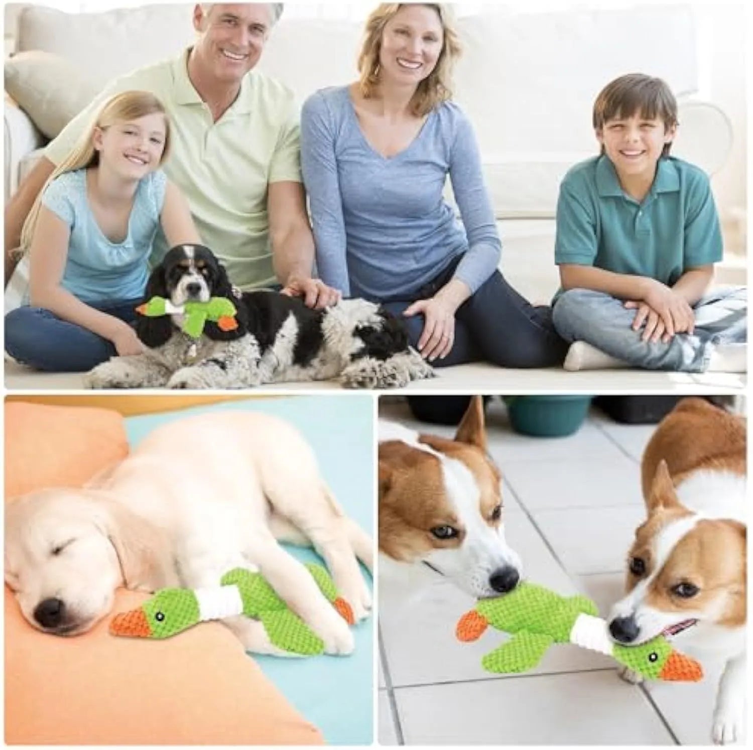 Blue green or grey durable plush duck dog toy with squeaker for chewing and play.
