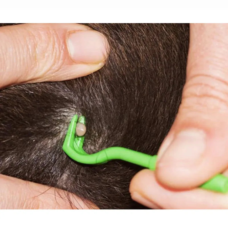 Three blue and green plastic pet tick removal hook tools on a white background.