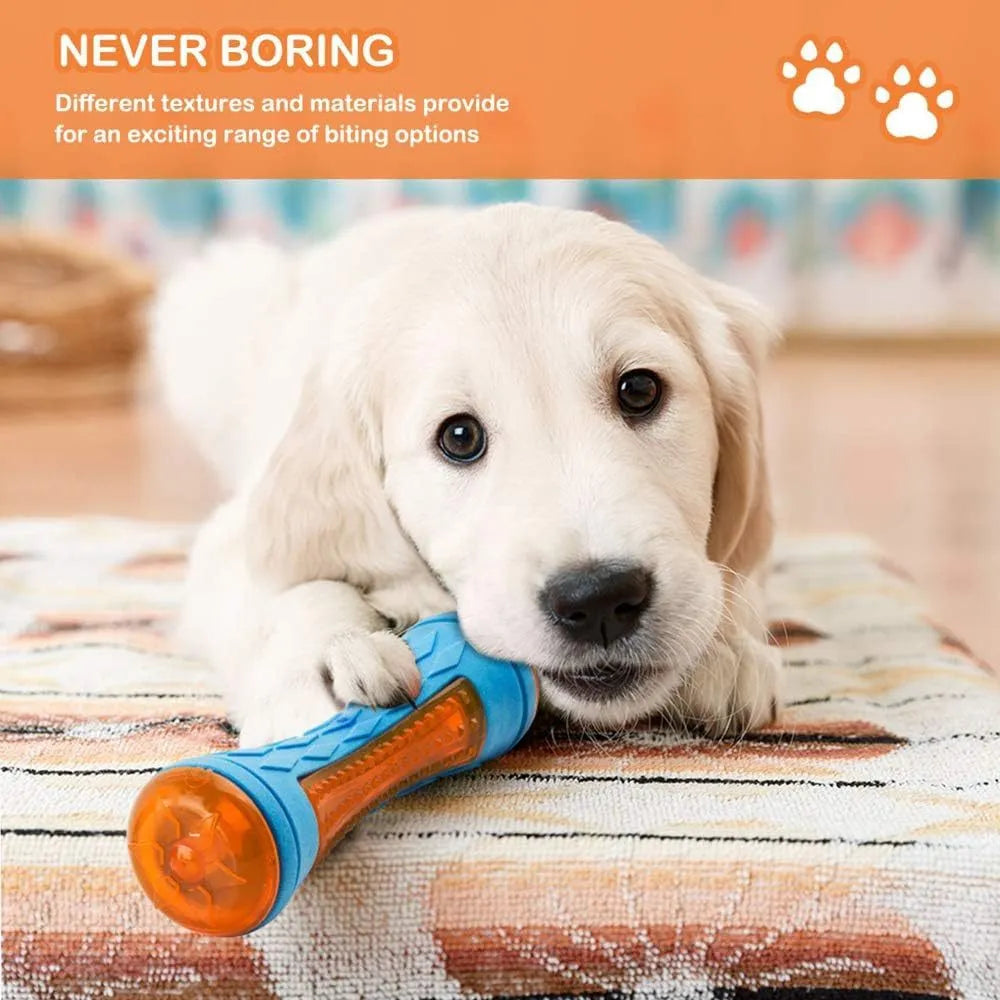 Set of three floating dog toys: blue ball, red barbell, and orange tyre with squeakers