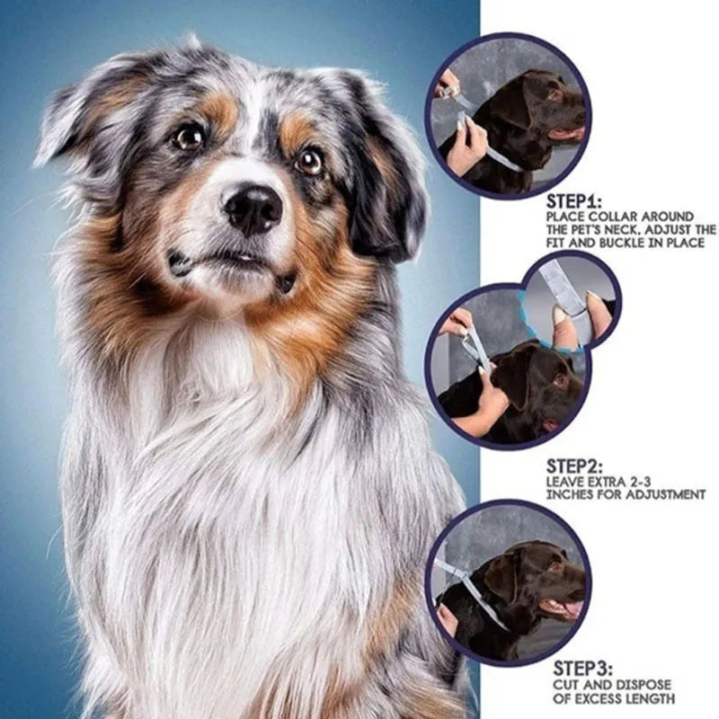 Rainbow coloured plastic flea collar for pets in cat and dog sizes.