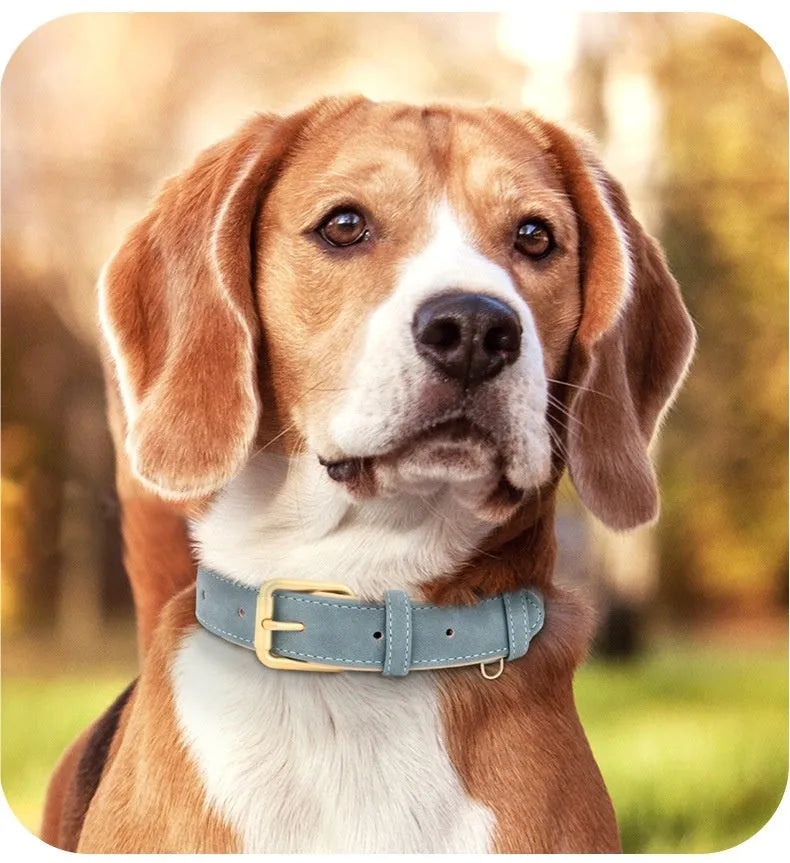 Double-layer mohair dog collar and matching lead set in rose red, shown with size options for small to extra-large dogs.