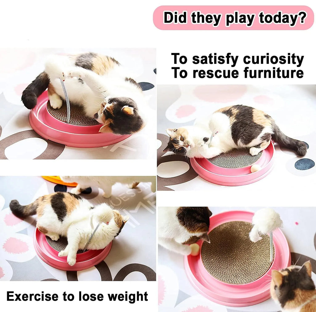 Circular blue cat scratcher with ball track and replaceable cardboard centre