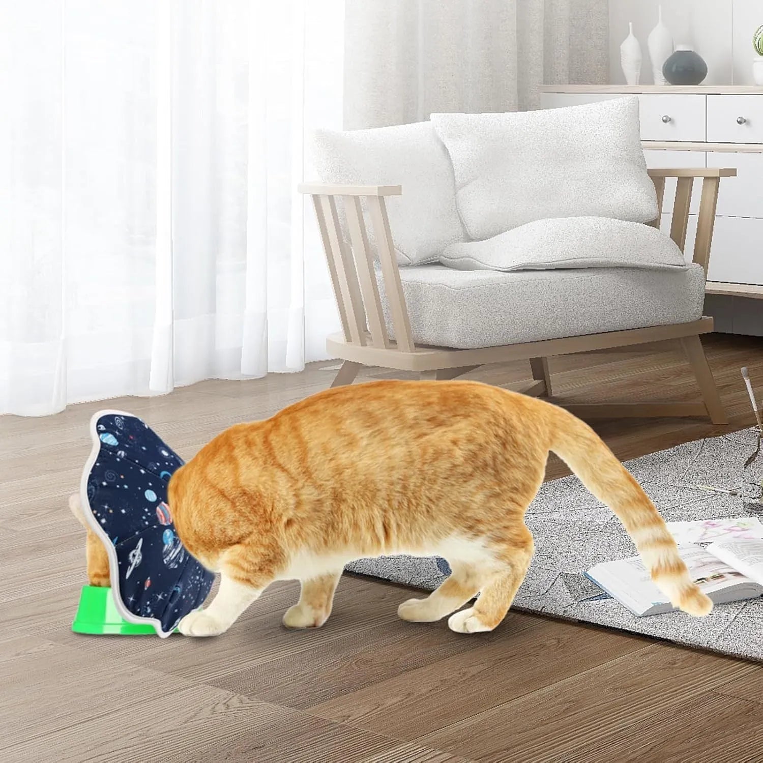 Soft fabric cat recovery collar with adjustable fastener in constellation print