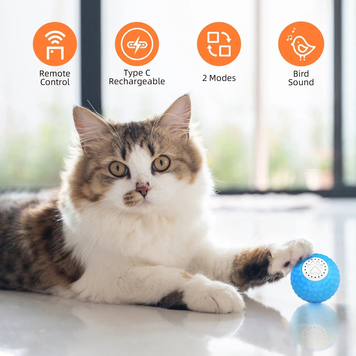 Remote control and colourful plastic rolling ball cat toy with sound on a wooden floor.