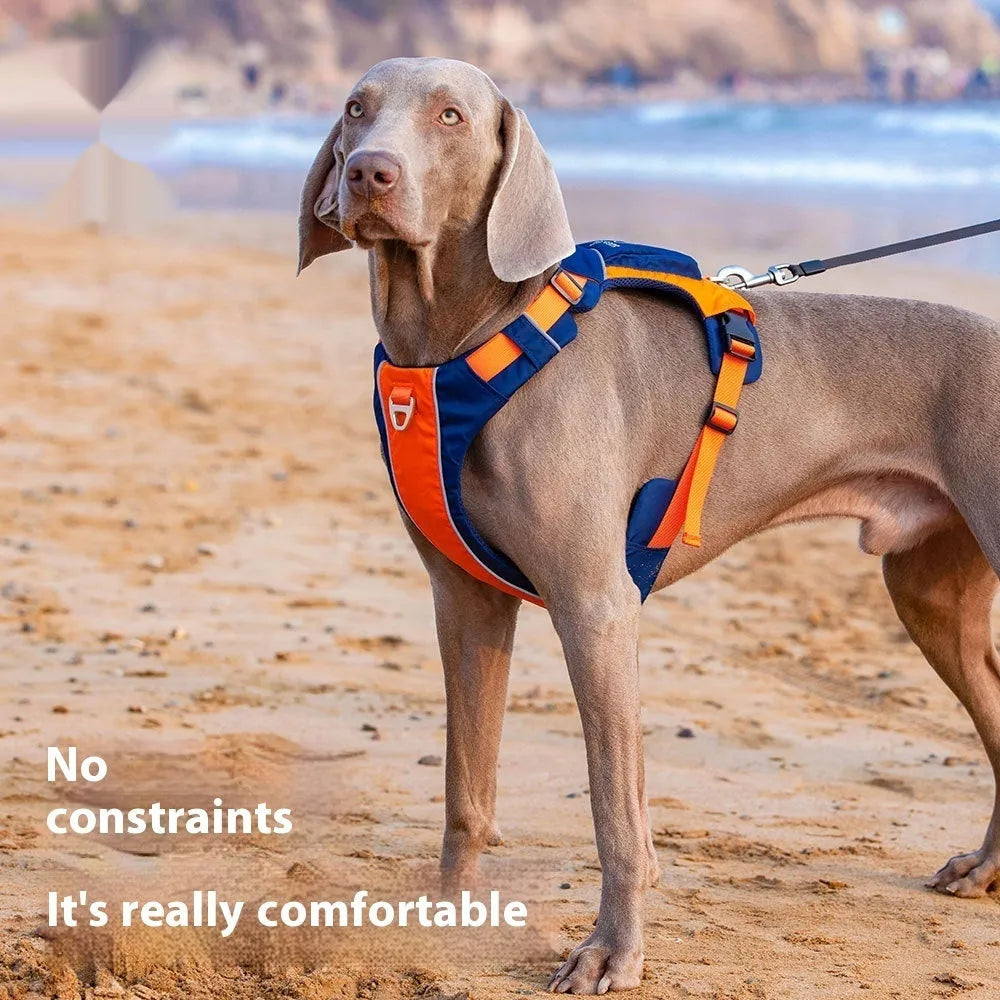 Nylon dog chest strap vest harness with hand rope in orange blue colour