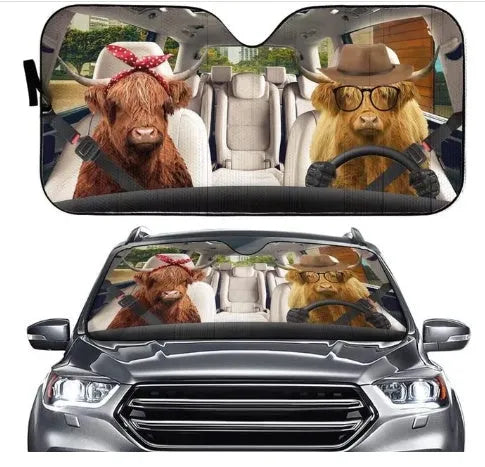 Aluminium foil telescopic car sun visor shown extended on a car windscreen.