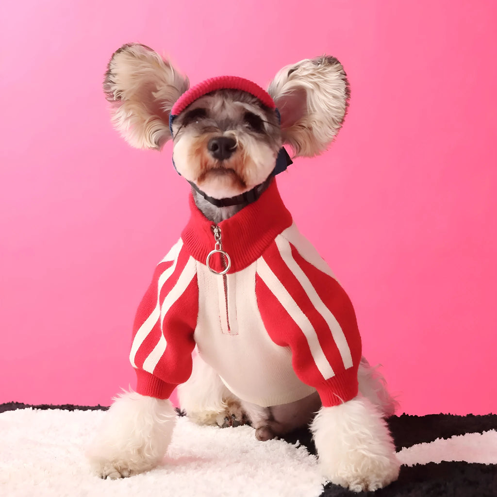 Red wool blend sports sweater cardigan for a medium-sized dog, shown on a mannequin.