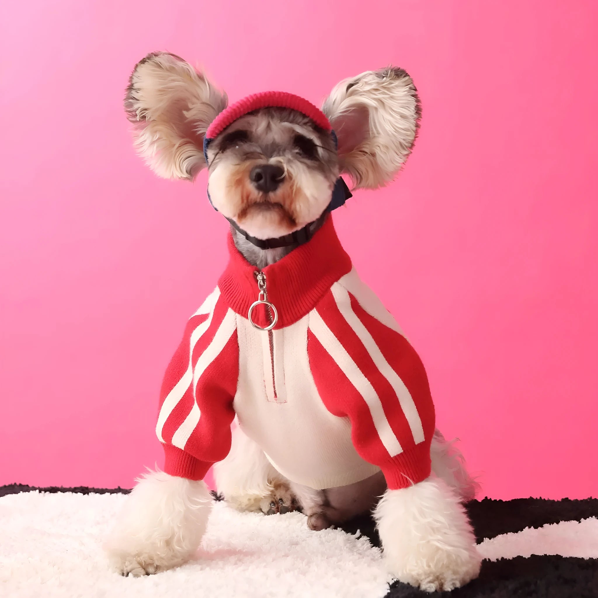 Red wool blend sports sweater cardigan for a medium-sized dog, shown on a mannequin.