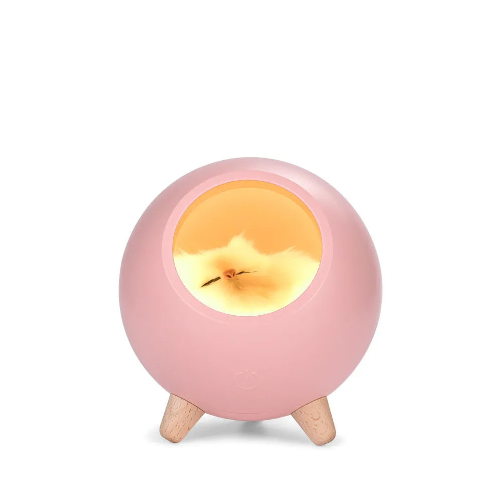 Creative cute cat house atmosphere table lamp in pink ABS shade, compact 130mm size, with USB cable