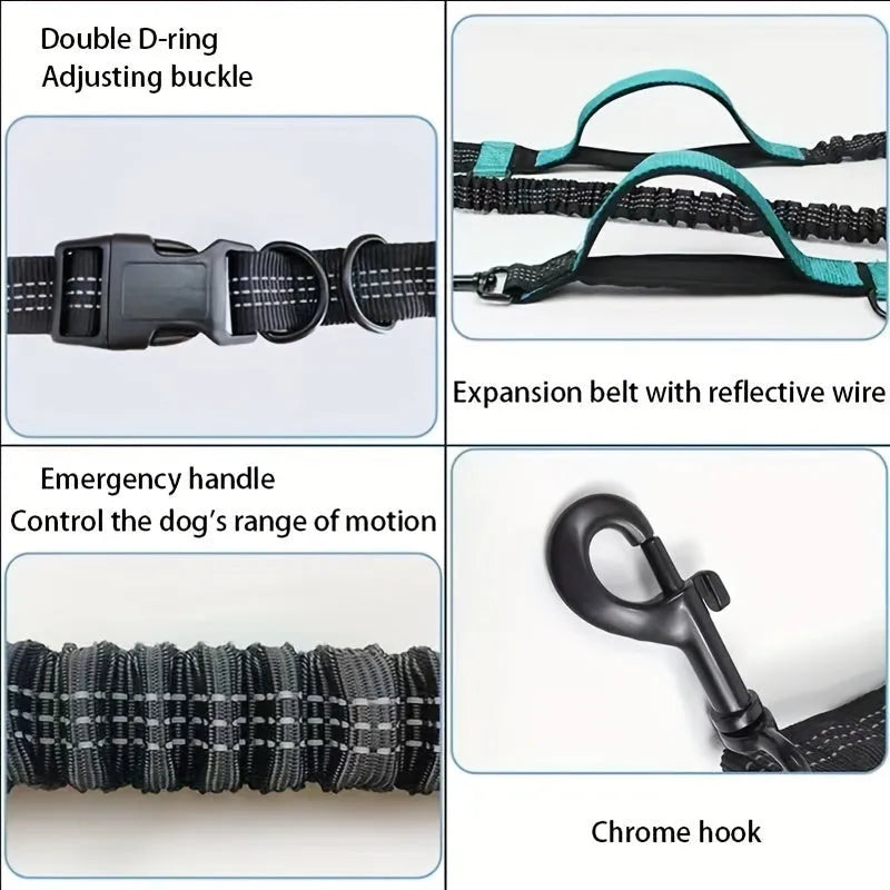 Hands-free dog leash with adjustable waist belt in durable nylon, available in five colours for running and walking