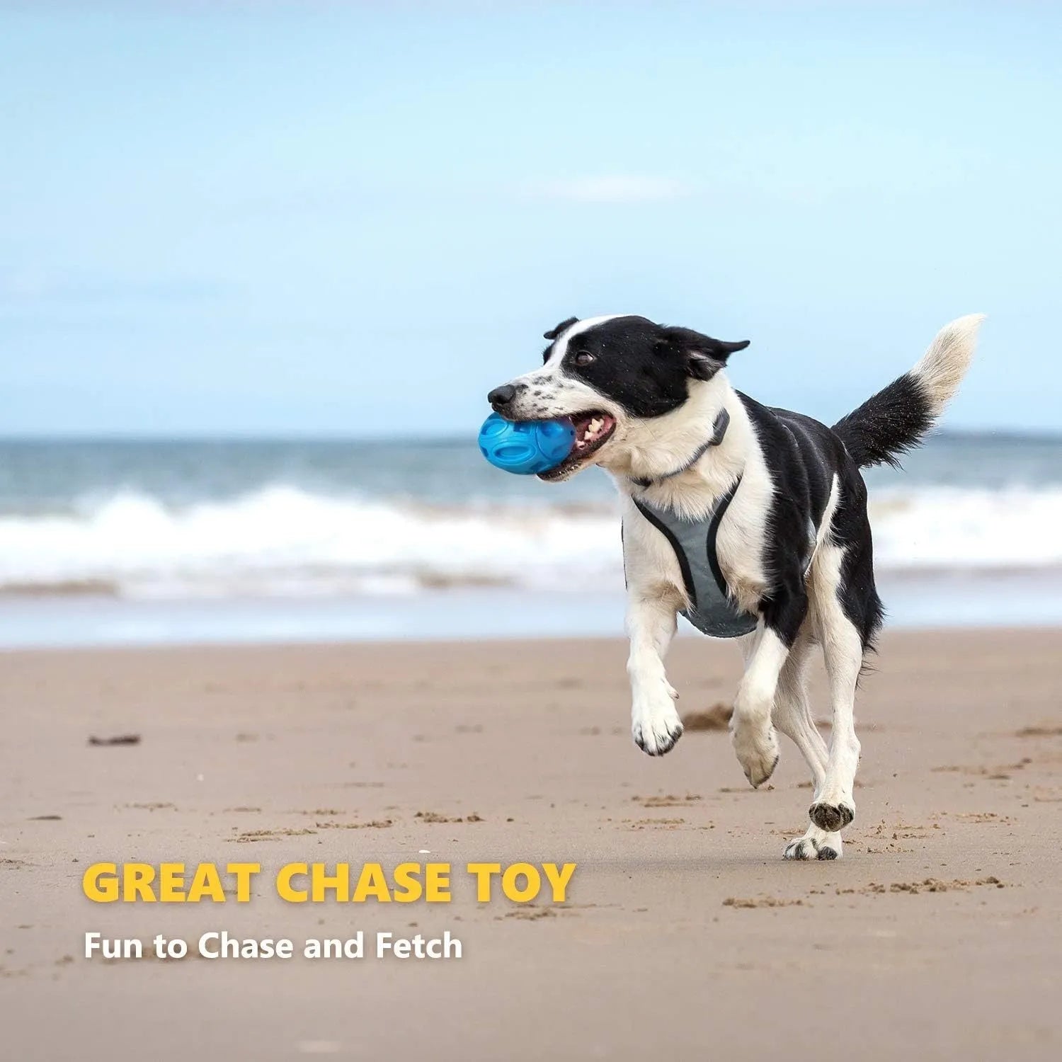 Natural rubber squeaky dog chew ball for medium and large breed aggressive chewers in blue, green, and orange colours