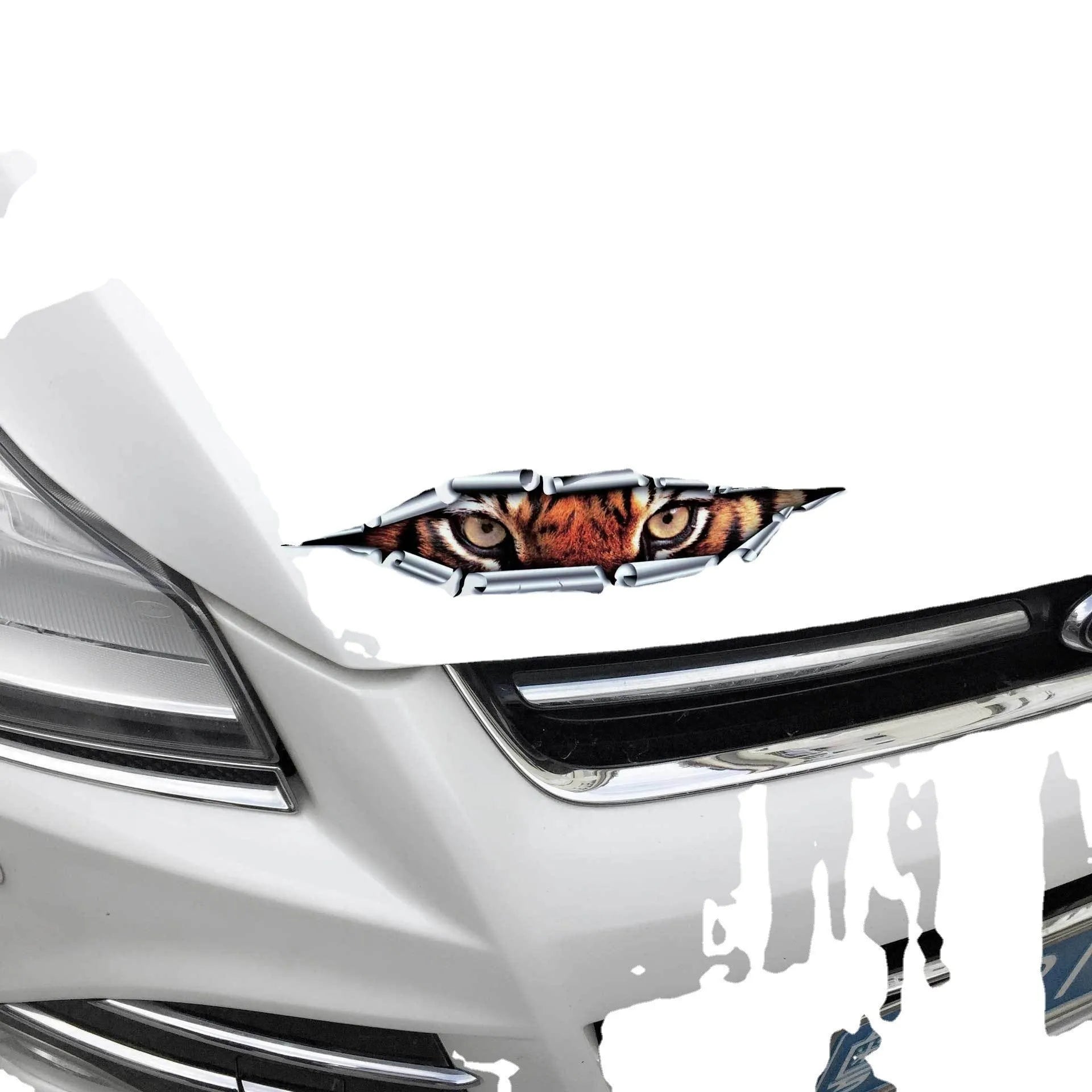 3D Tiger Eye or Eagle Eye peeping design car bumper sticker on transparent PVC background