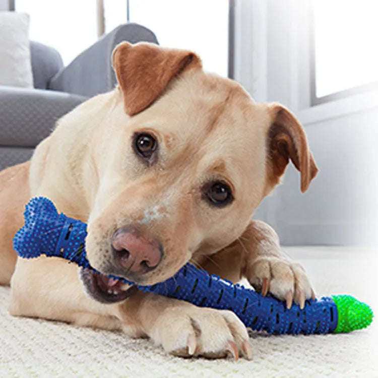 Blue green 25cm dog dental cleaning toy with silicone brush head and textured chewing surface