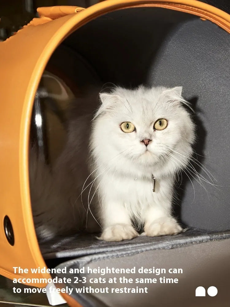 Portable pet carrier bag for cats and small dogs showing shoulder strap and handbag carrying options
