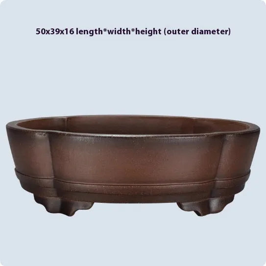 A large, simple purple clay bonsai pot on a table, suitable for indoor plants.