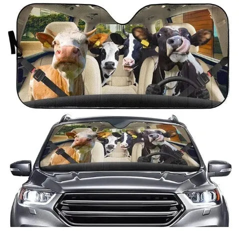 Aluminium foil telescopic car sun visor shown extended on a car windscreen.