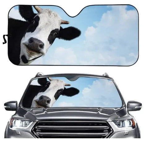 Aluminium foil telescopic car sun visor shown extended on a car windscreen.