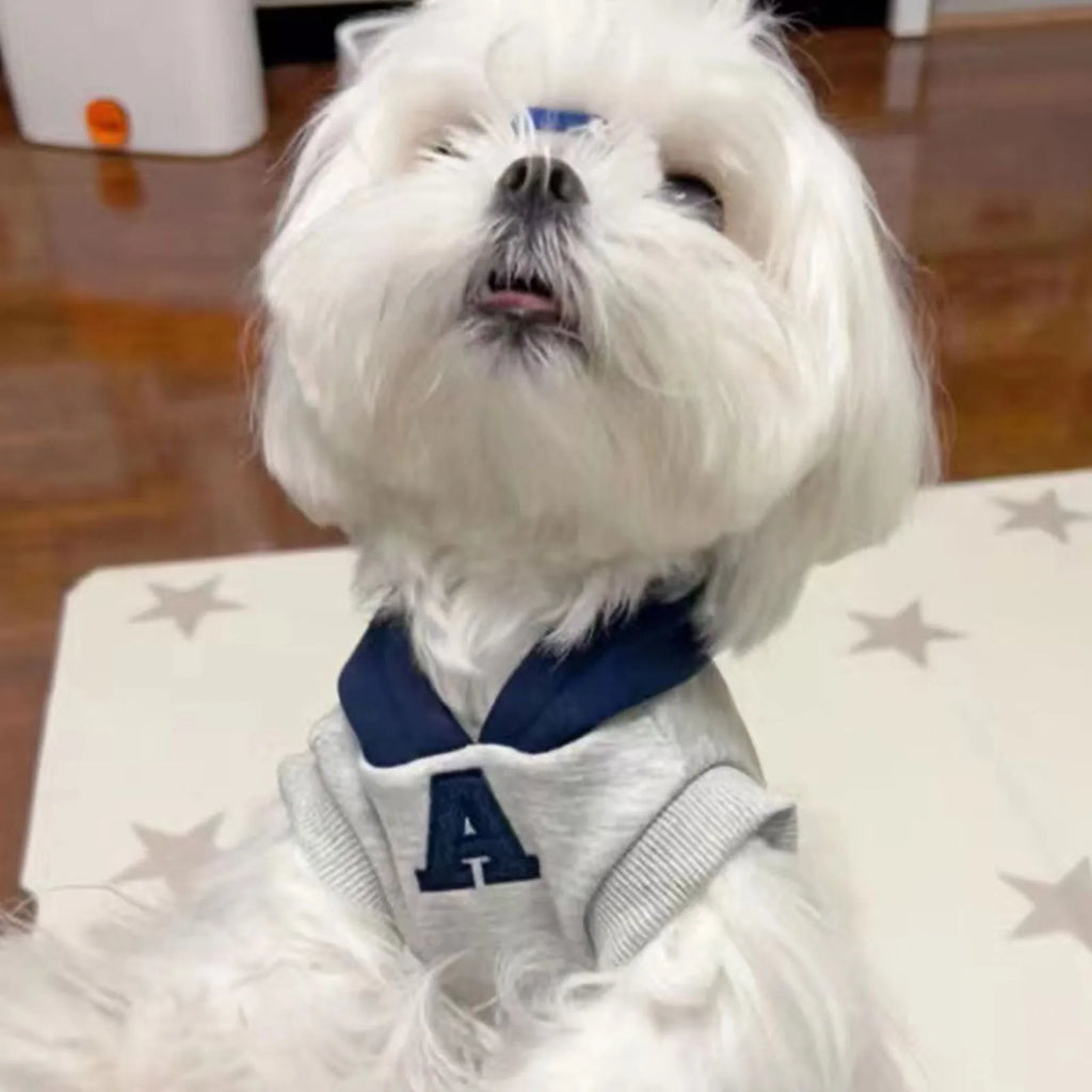 Blue pet hoodie with reflective letters on a dog showing slim-fitting design