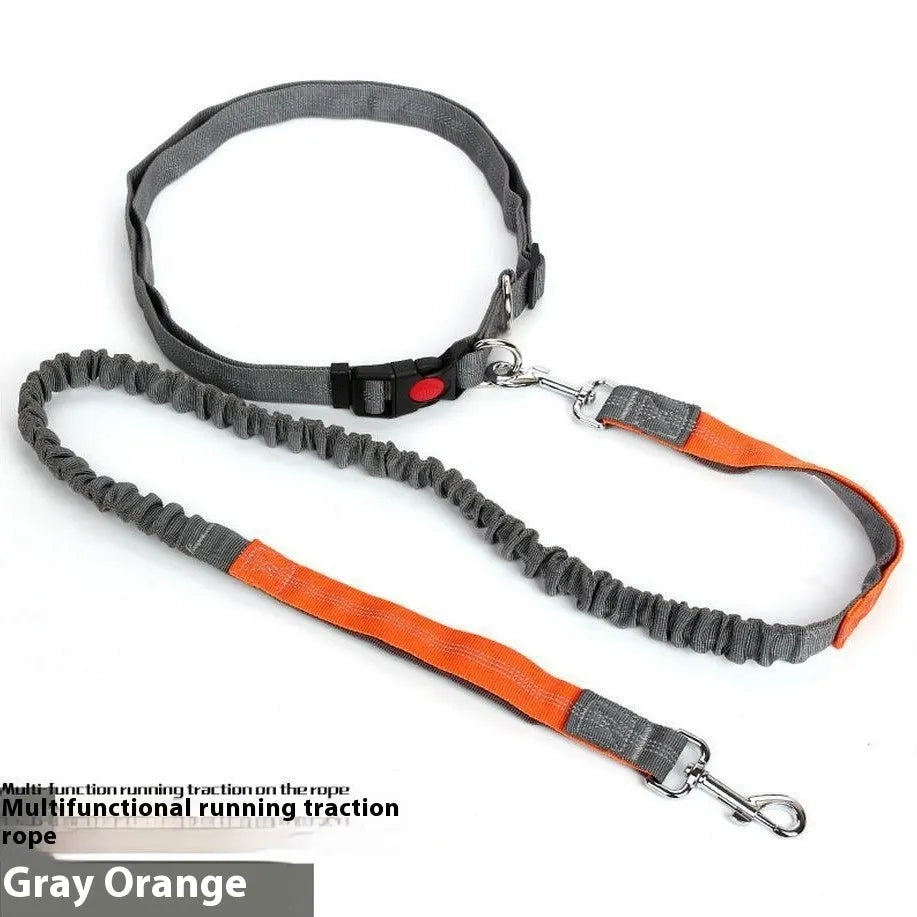 Gray and green reflective elastic dog leash with nylon webbing and a clip, laid flat to show its 2.5cm width.
