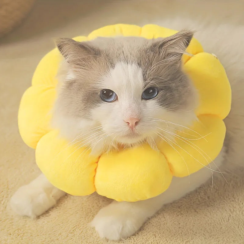 Cute sunflower-shaped adjustable recovery collar for small pets, soft cotton material
