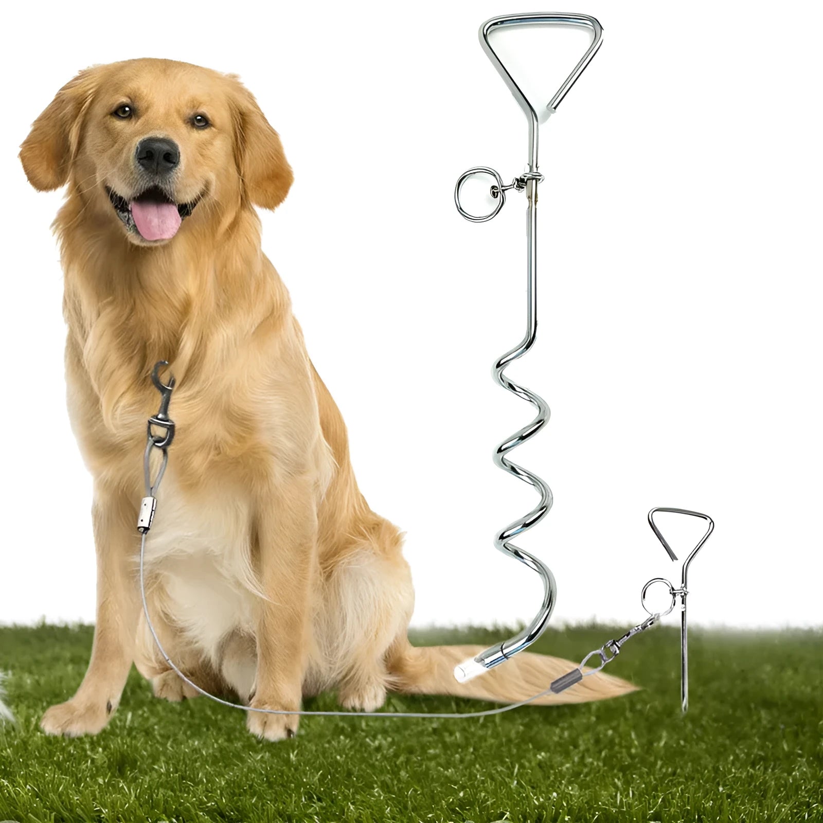 Medium spiral dog tie out stake made of solid steel for secure outdoor tethering in sandy soil
