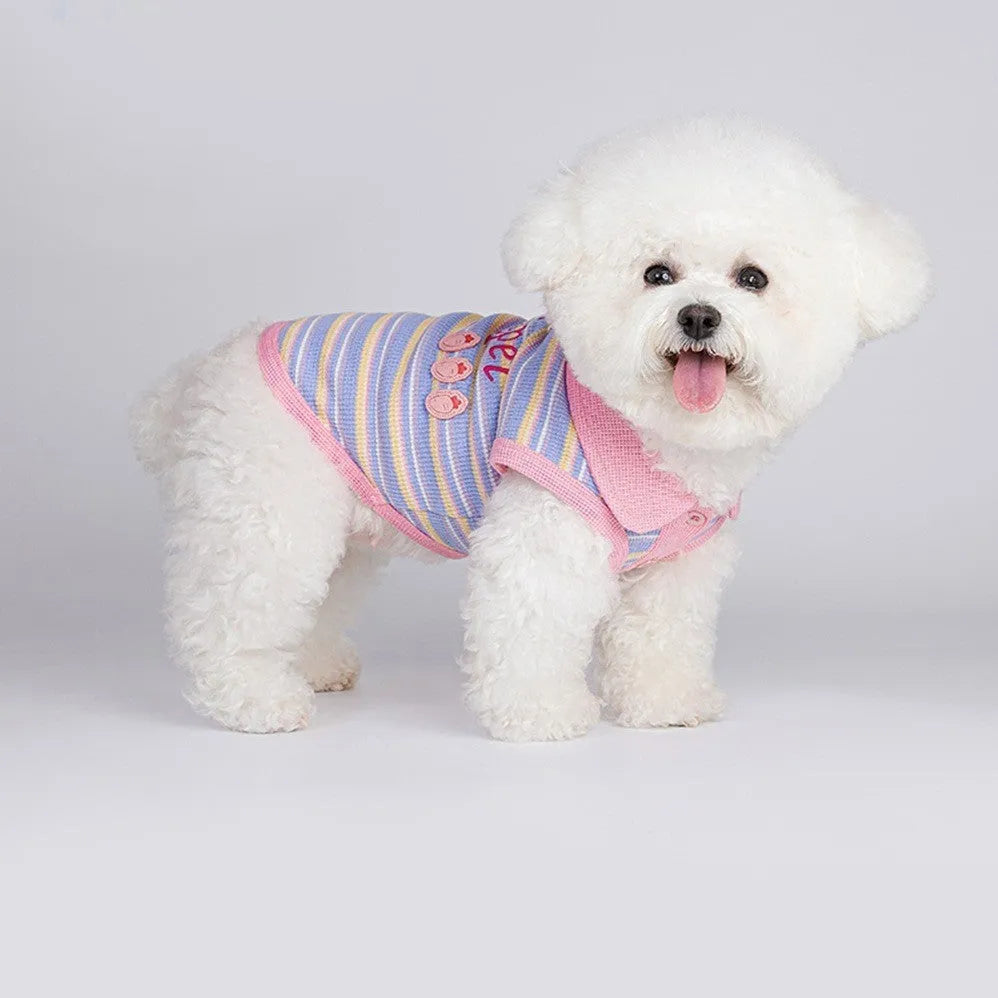 Pink purple vest for a small dog, showing the autumn pet clothing on a mannequin or model.