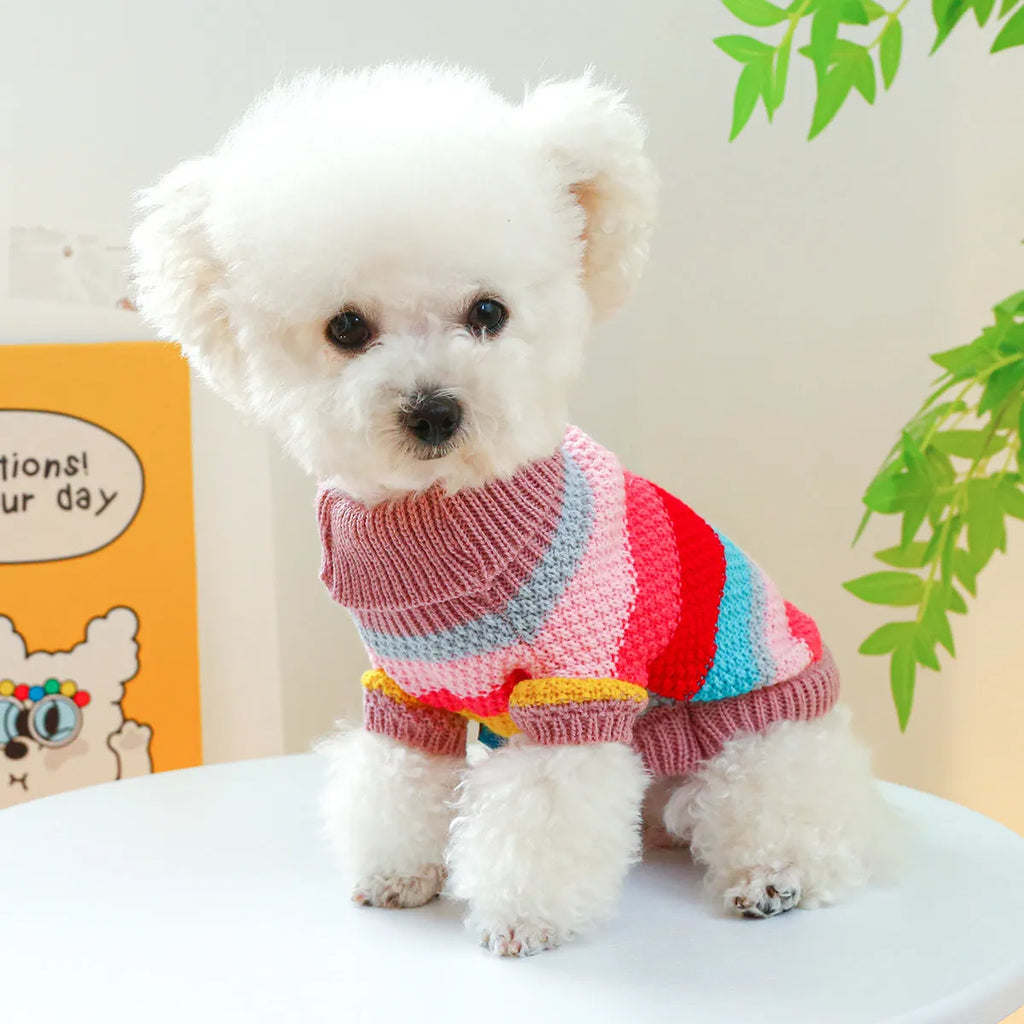 Colourful striped acrylic pet sweater for dogs and cats, five sizes XS to XL