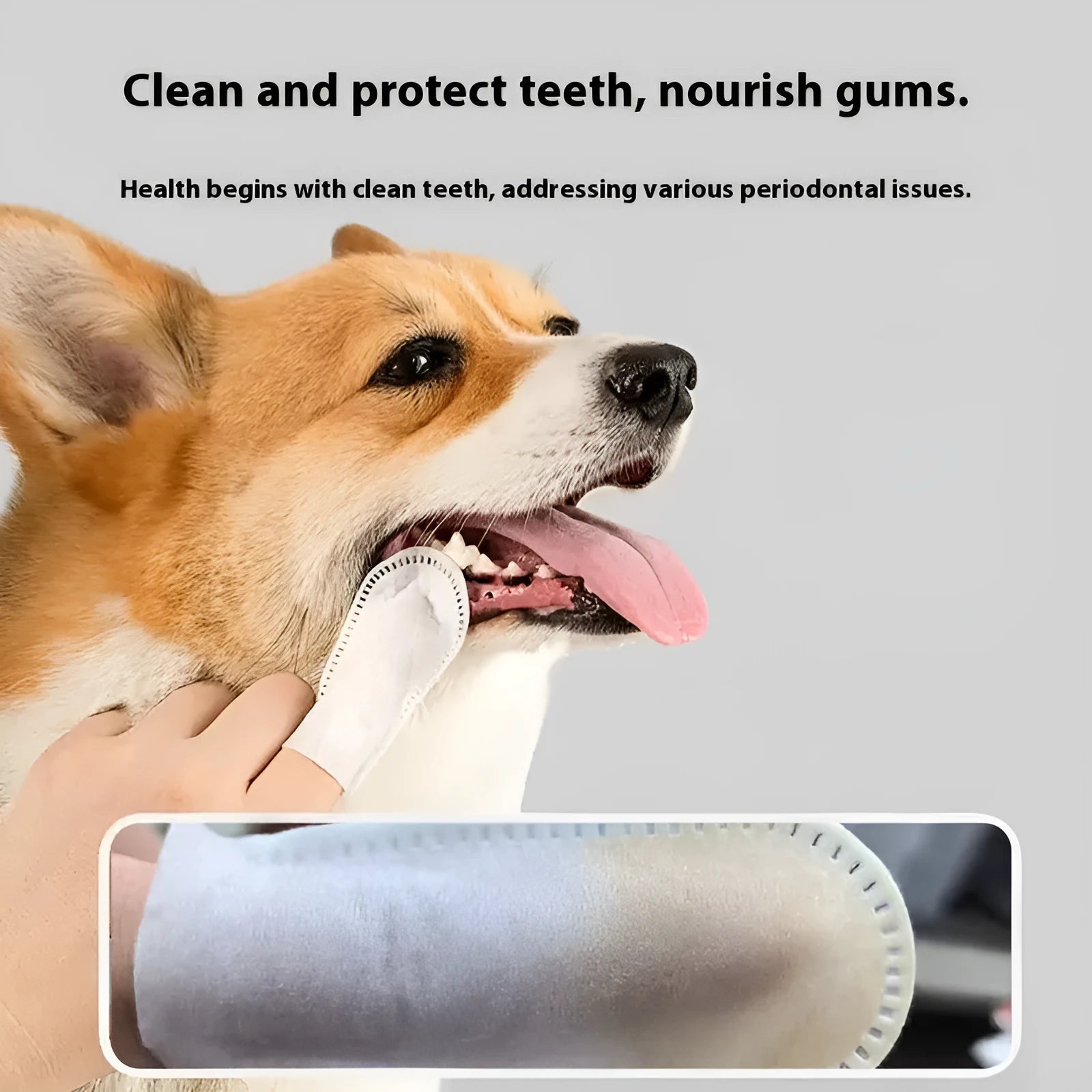 Pack of 50 non-woven pet dental cleaning finger stalls for cat and dog oral hygiene