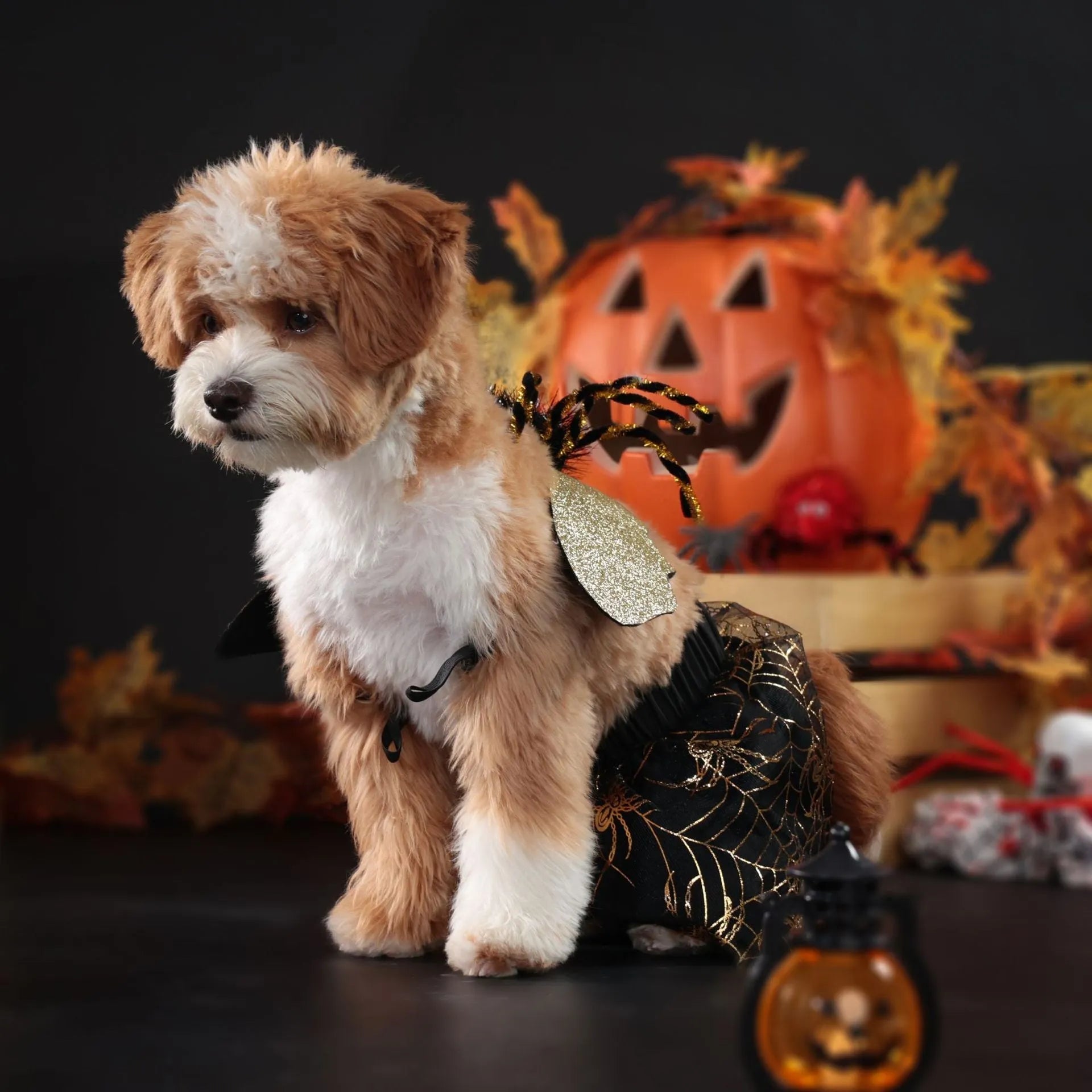 Polyester dog costume suit for Halloween and parties in suit colour, available sizes S M L XL