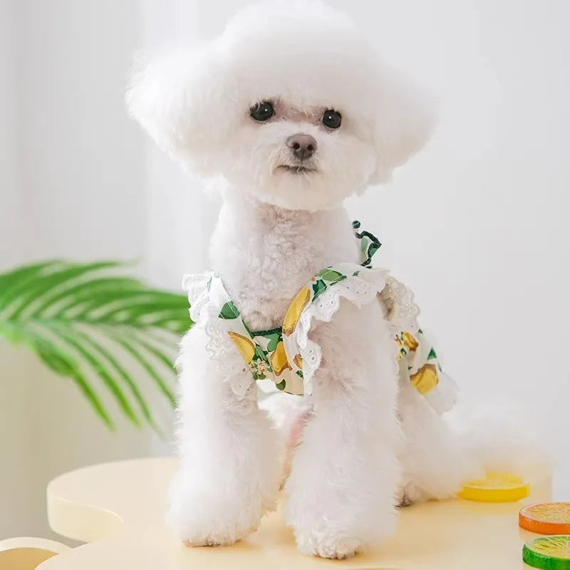 Rock yellow lemon polyester strap skirt dog dress for small to medium sized pets