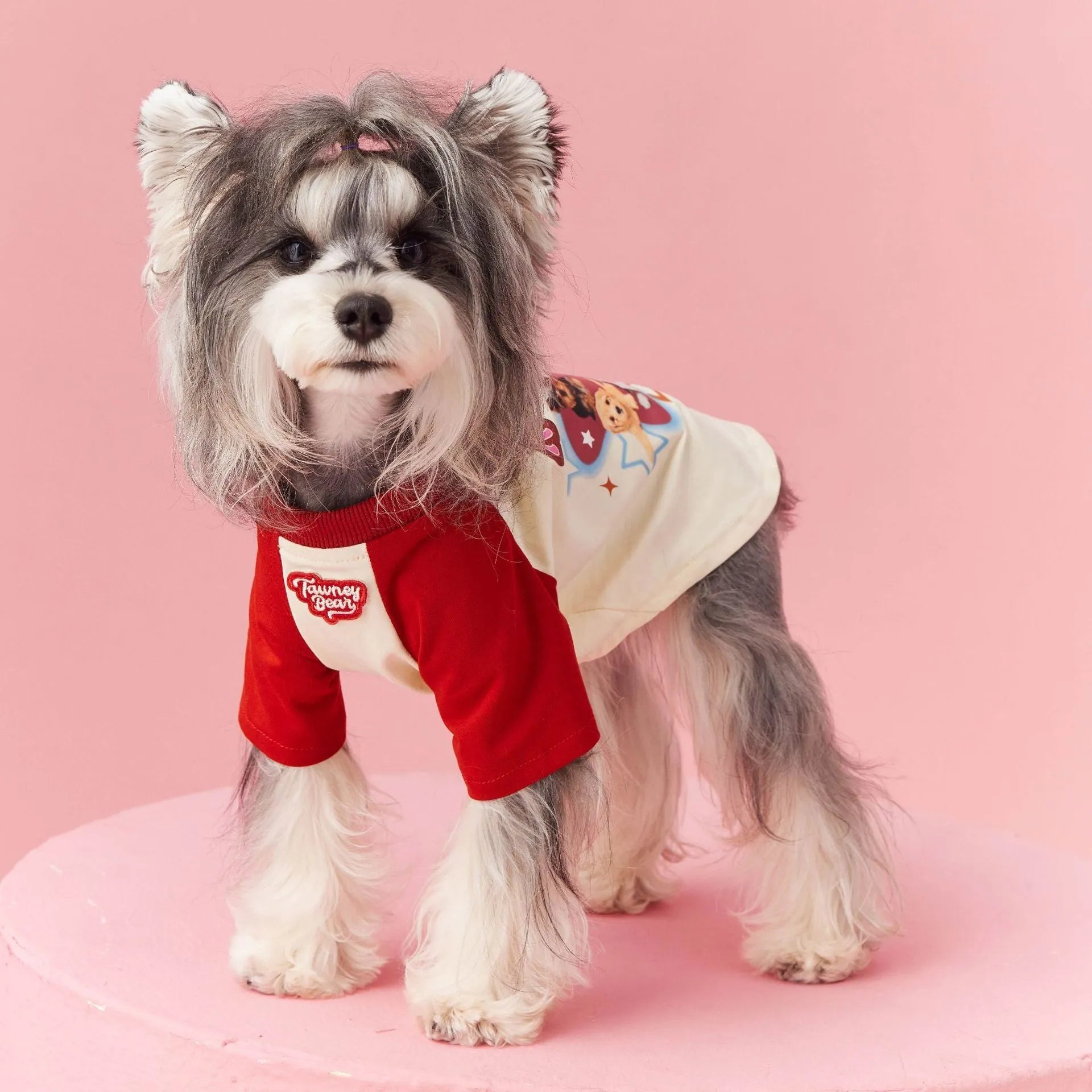 Cotton summer dog clothes with contrast colour embroidery in red or pink, available sizes XS to XXL