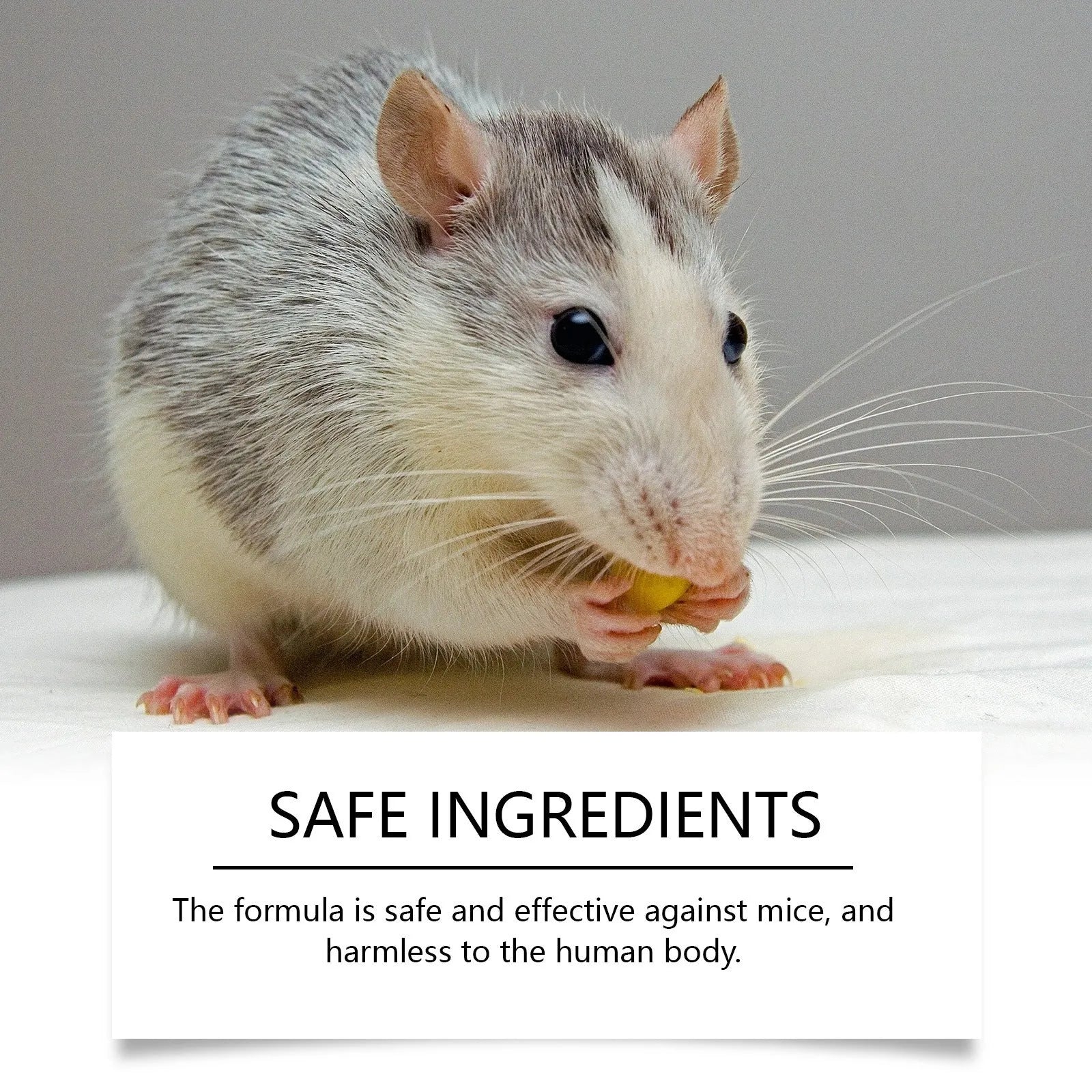 Mint-flavoured rodent repellent spray 150ml bottle with peppermint oil and chili essential oil for outdoor use