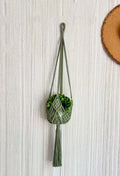 Hand-woven cotton polyester flower pot net with extension cord in a choice of seven colours.
