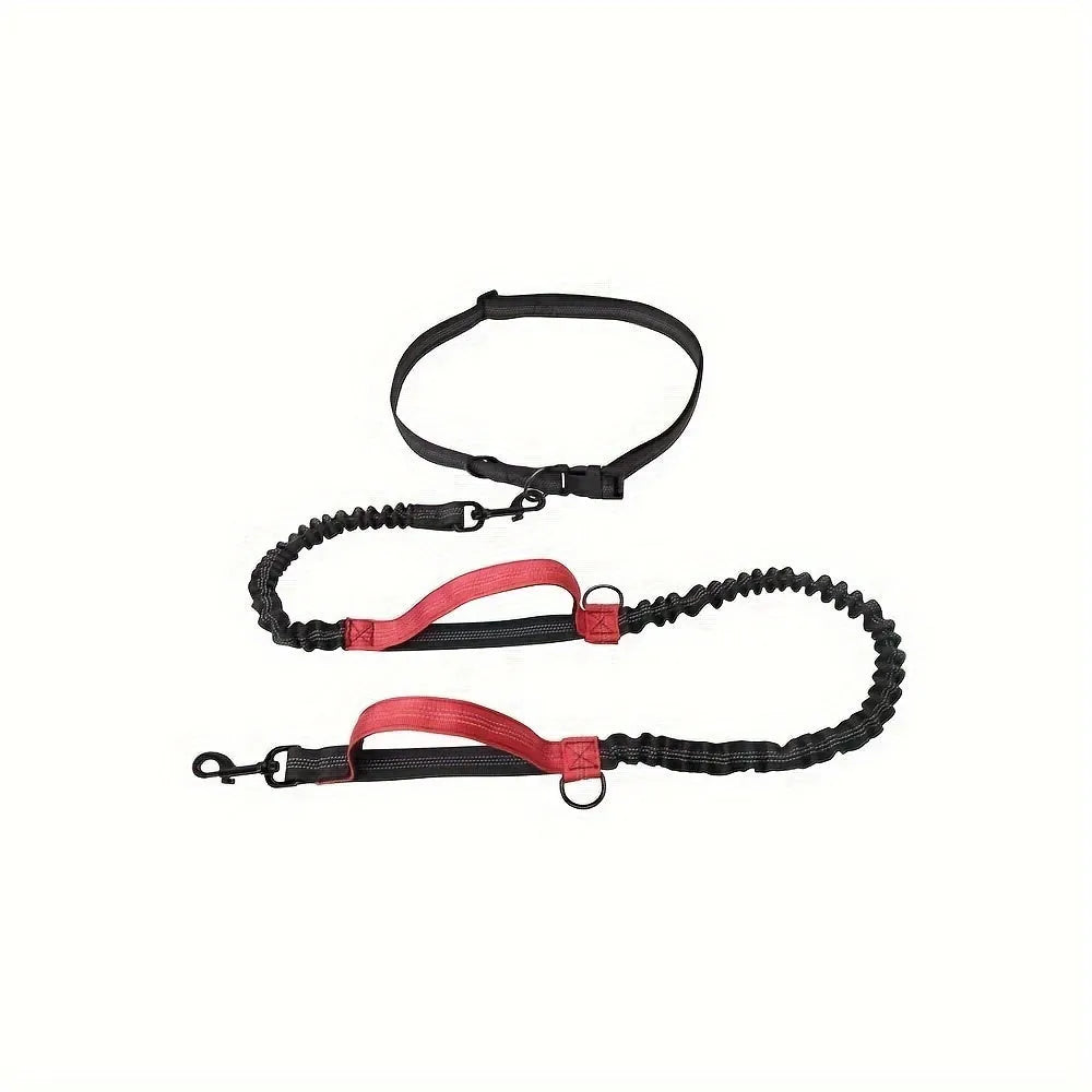 Hands-free dog leash with adjustable waist belt in durable nylon, available in five colours for running and walking
