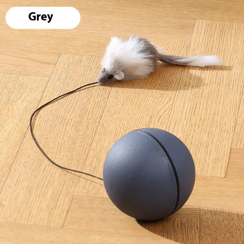 Automatic cat teasing ball with plush mouse attachment in blue orange and dark grey colour options